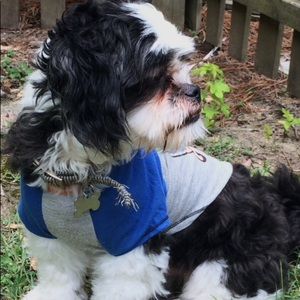 Meet your Posher, Emma